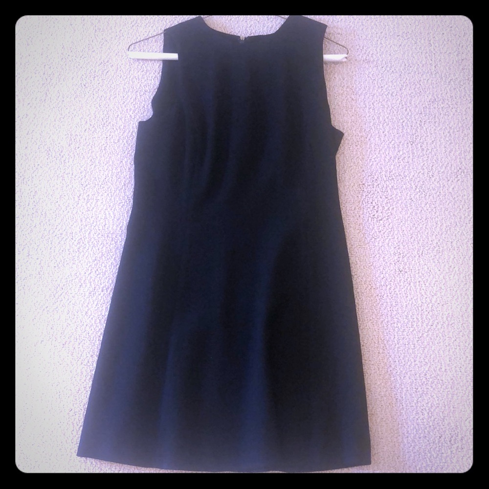 J Crew dress